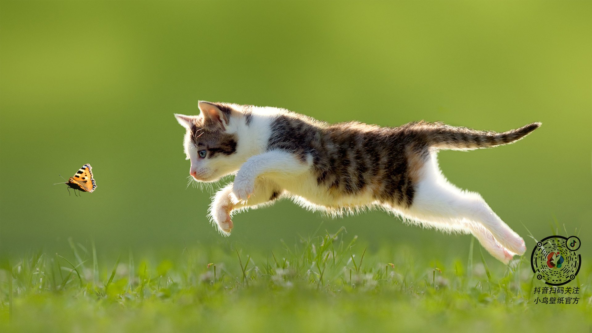 开云app-中超引入体能监测系统实时掌握球员状态变化，中超身体对抗